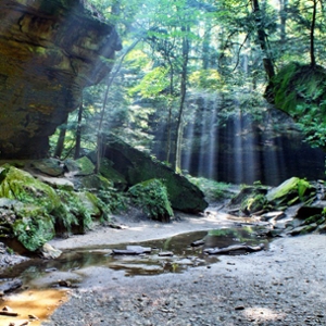 Turkey Run State Park